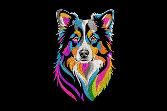 Colorful Border Collie Dog Review