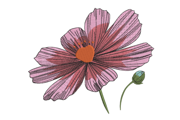 Sketchy Cosmos Flower Review